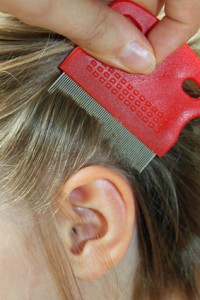 Інститут Роберта Коха рекомендує: При зараженні головними вошами мити голову двічі з перервою від 8 до 10 днів з використанням засобу проти вошей і расчесиват' ще вологе волосся, застосовуючи кондиціонер для волосся