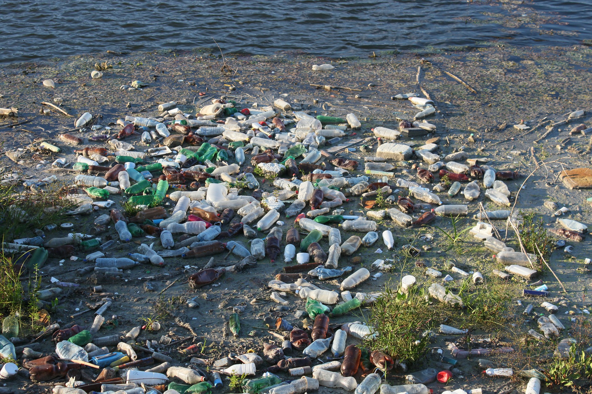 Якщо ситуацію не змінити, то до 2050 року буде вироблено 34 мільярди тонн: в океані буде більше пластика, ніж риби