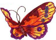 Вже давно я хотіла навчитися вишивати метеликів, так як ці створення просто захоплюють мене своєю красою і вишуканістю